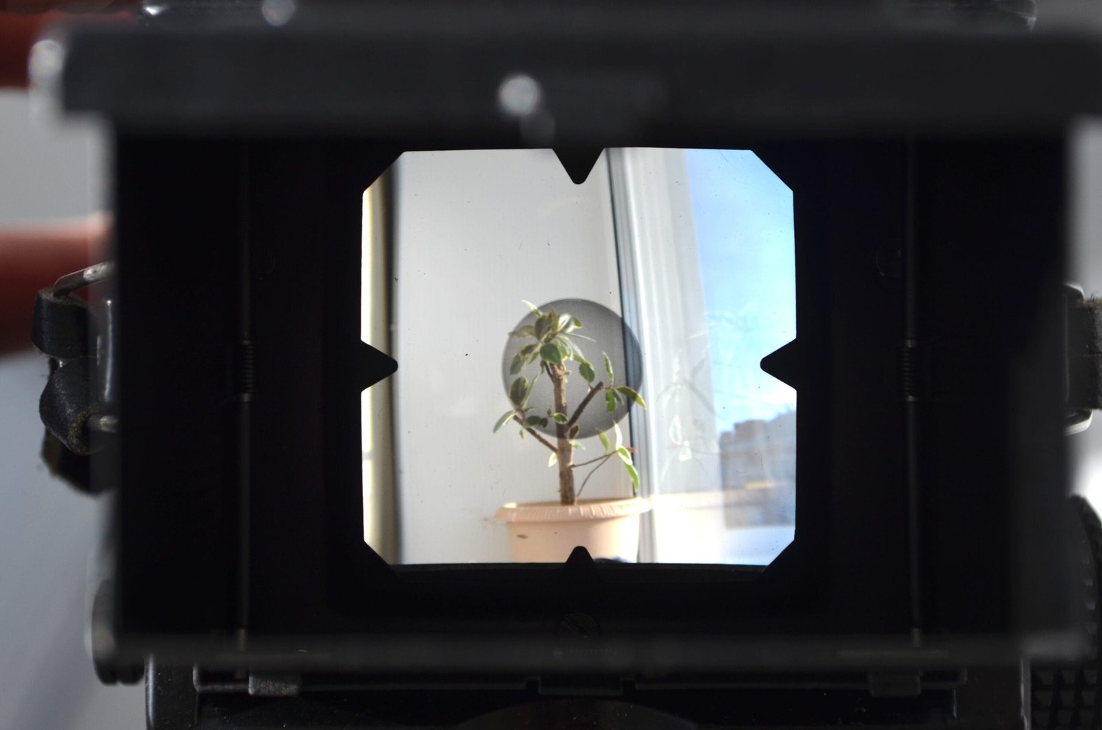 Lubitel 166 B LOMO TLR Camera Medium Format 6x6. S/N: 89016105 - Image 6